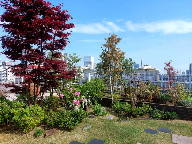 屋上緑化導入入門メインビジュアル